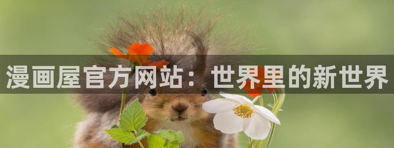 漫蛙漫画完结漫画推荐